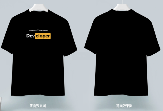 T-Shirt-Developer